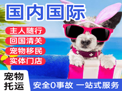成都双流空运公司国际宠物托运 【国